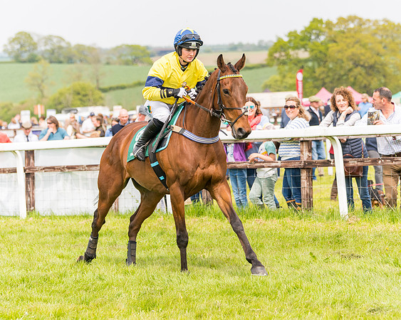 Race 2 - Owner-Trainer Conditions  (60 of 208)