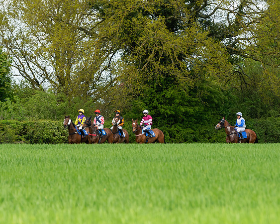 Race 1 - The Condiitions race (42 of 123)