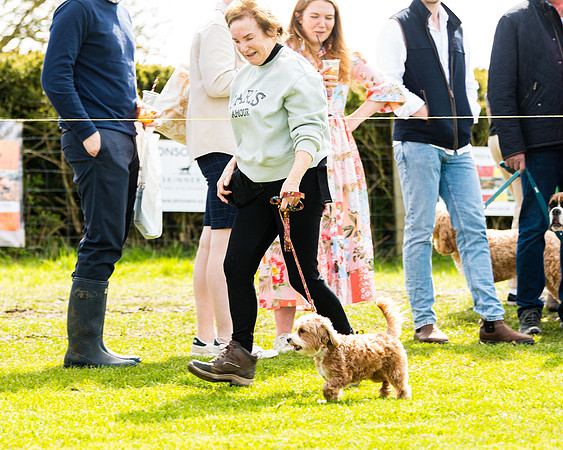 Dog show etc (60 of 157)