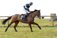 Race 6 Div 2 - Open Maiden  (17 of 131).jpg
