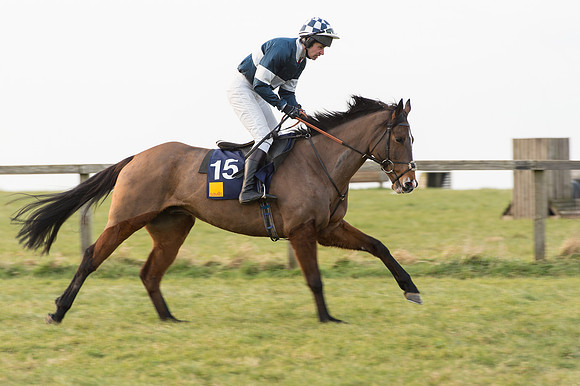 Race 6 Div 2 - Open Maiden  (17 of 131).jpg