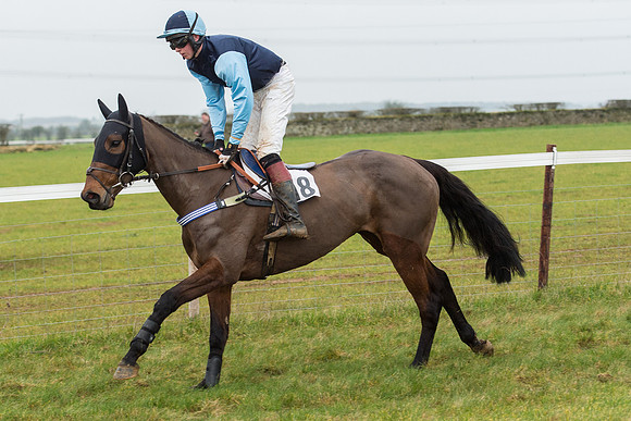 Race 6 - Open Maiden Race Div 1  (24 of 90).jpg