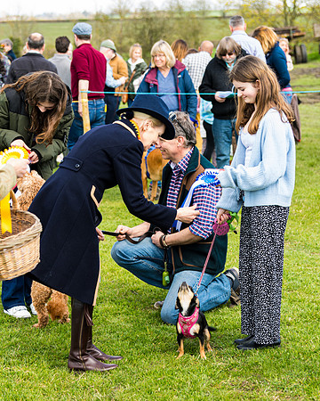 Dog show etc (131 of 157)