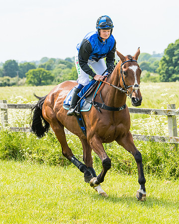 Race 2 - PPORA Novice Riders (100 of 444)