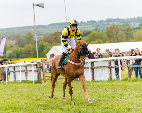 Race 7 - Veteran Horse conditions (78 of 244)