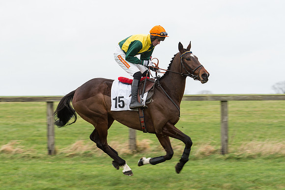 Race 7 - Open Maiden (44 of 131).jpg