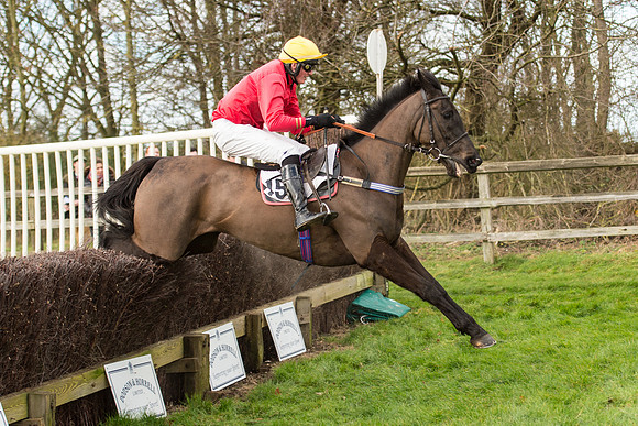 Race 2 - Young Horse Maiden (89 of 110).jpg