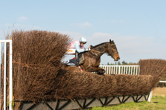 Race 5 - Restricted Race (38 of 64).jpg