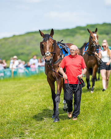 Race 2 - PPORA Novice Riders (80 of 444)