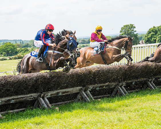 Race 2 - PPORA Novice Riders (247 of 444)
