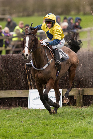 Race 7 - Open Maiden (108 of 131).jpg