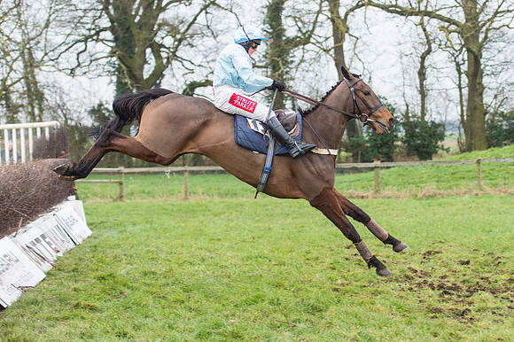 Race 7 - Young Horse Maiden  (50 of 64).jpg