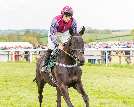 Race 6 = Maiden (61 of 187)