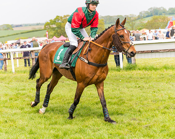 Race 2 - Owner-Trainer Conditions  (42 of 208)