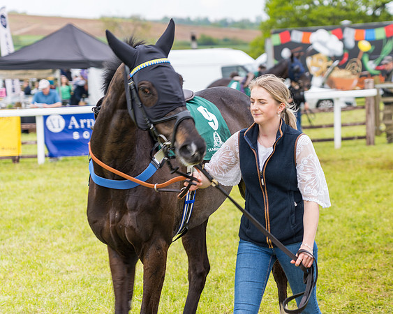 Race 7 - Veteran Horse conditions (28 of 244)