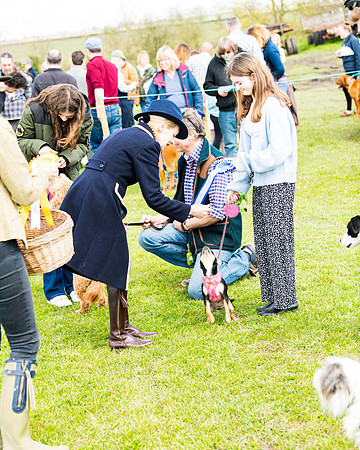 Dog show etc (132 of 157)
