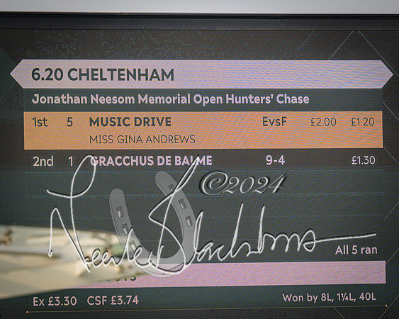Race 4 - The Jonathan Neesom memorial open Hunter’s steeplechase 3m2f 70y (115 of 167)
