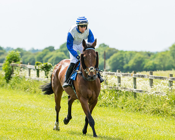 Race 2 - PPORA Novice Riders (145 of 444)