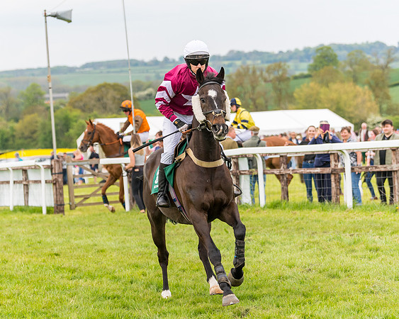 Race 7 - Veteran Horse conditions (71 of 244)