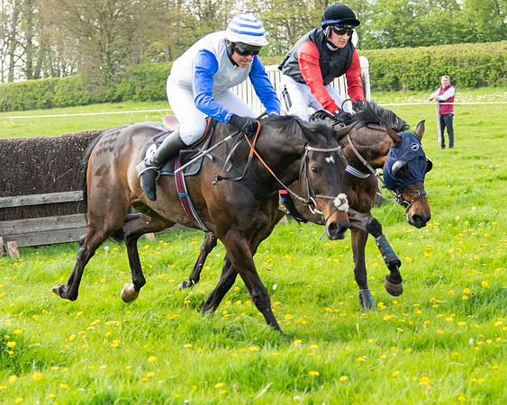 Race 2 - Veteran Horse  (75 of 82)