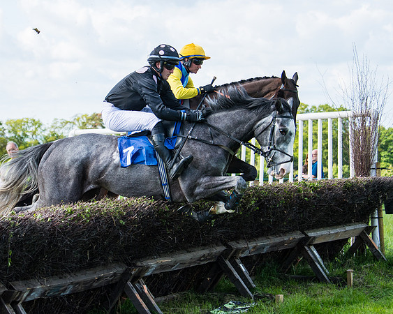 Race 5 - 2m5f Maiden (46 of 144)