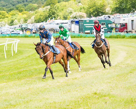Race 1 - The Little Red owner Trainer conditions (118 of 345)