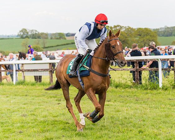 Race 6 = Maiden (27 of 187)