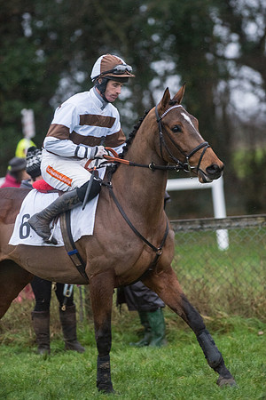 Race 8 - Young Horse Maiden  (37 of 85).jpg