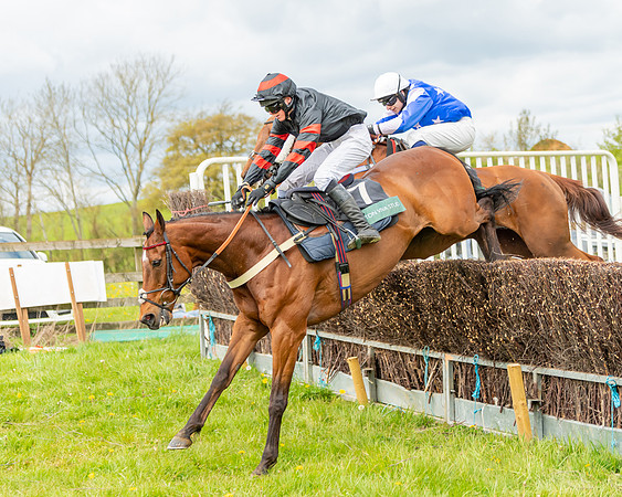 Race 2 - ROR and veteran Horse Conditions race (49 of 77)