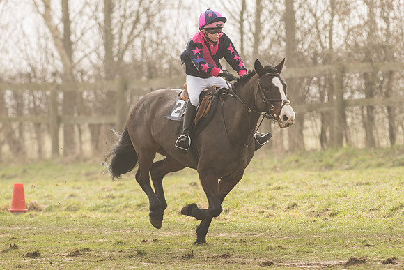Pony Race 1 -  (20 of 31).jpg