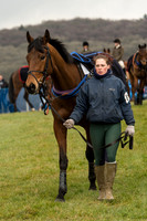 Race 1 - Div 1 - Young Horse Maiden (19 of 90).jpg