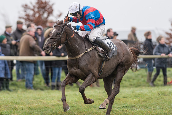 Race 5 - The Intermediate (50 of 59).jpg