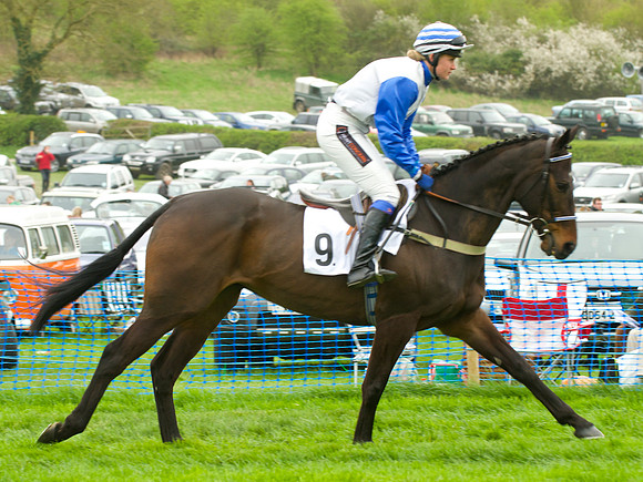 Race 4 - Nov-vets 15