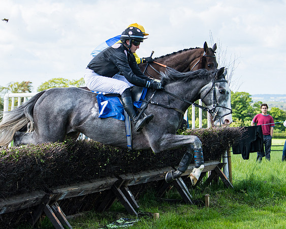 Race 5 - 2m5f Maiden (47 of 144)