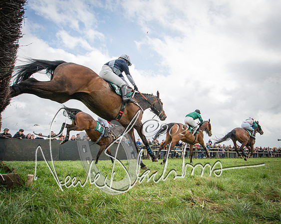 Race 1 - Hunt members subscribers and farmers race (76 of 119)