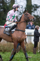 Race 8 - Young Horse Maiden  (19 of 85).jpg