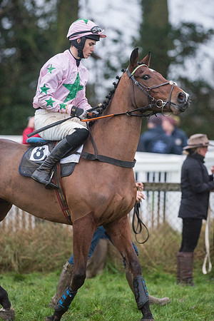 Race 8 - Young Horse Maiden  (19 of 85).jpg
