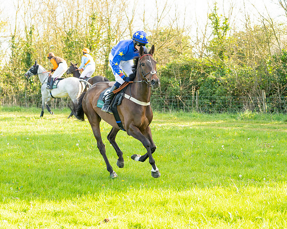 Race 7 - Maiden  (23 of 113)