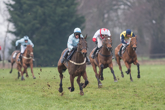 Race 7 - Young Horse Maiden  (42 of 64).jpg