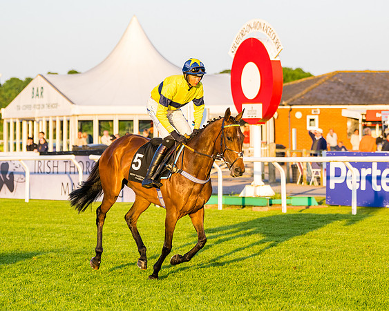 Race 7 - ITM NH Flat Race (50 of 197)