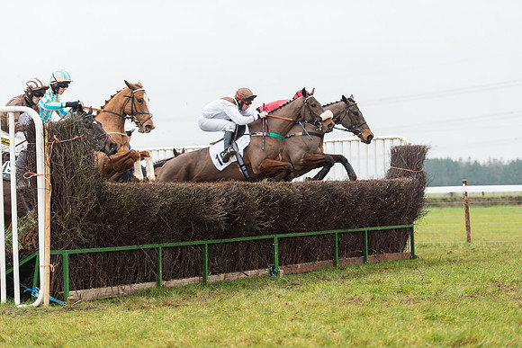 Race 6 - Open Maiden Race Div 1  (37 of 90).jpg