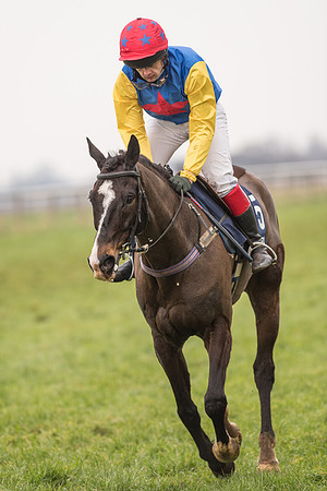Race 5 - The Restricted Race (86 of 86).jpg