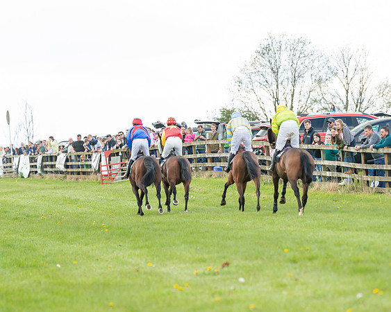 Race 5 - Novice and Veteran Riders (34 of 91)