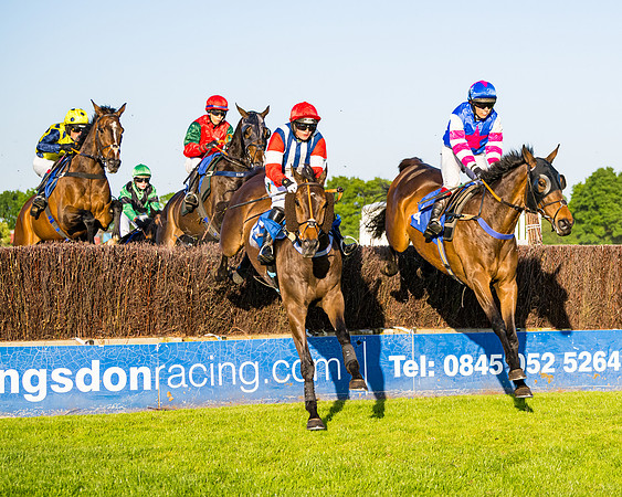 Race 5 - Whitw Swan Handicap (6 of 67)