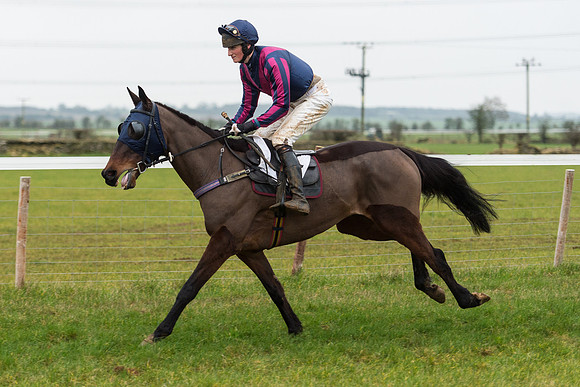 Race 6 - Open Maiden Race Div 2  (13 of 118).jpg