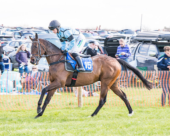 Race 4 - The Warehouse Reit Mixed Open Race  (13 of 124)