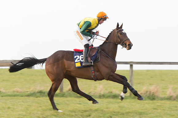 Race 6 Div 2 - Open Maiden  (37 of 131).jpg