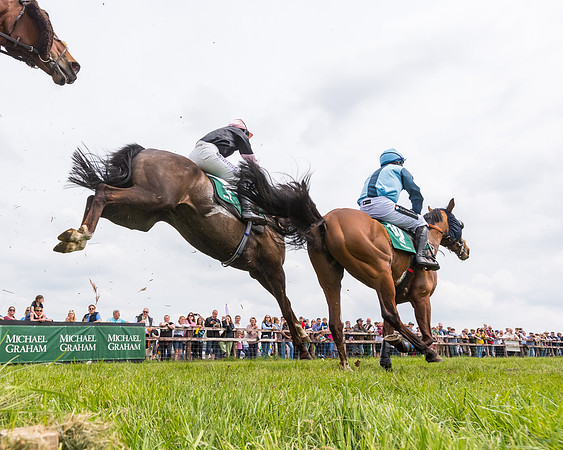 Race 2 - Owner-Trainer Conditions  (93 of 208)