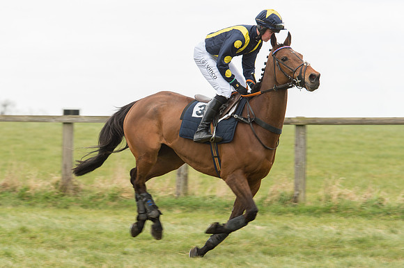 Race 2 - PPORA Novice riders  (54 of 186).jpg