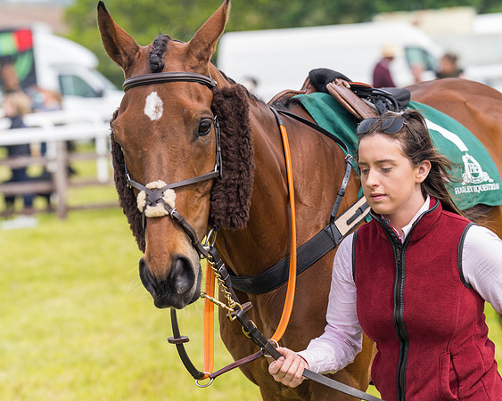 Race 2 - Owner-Trainer Conditions  (10 of 208)